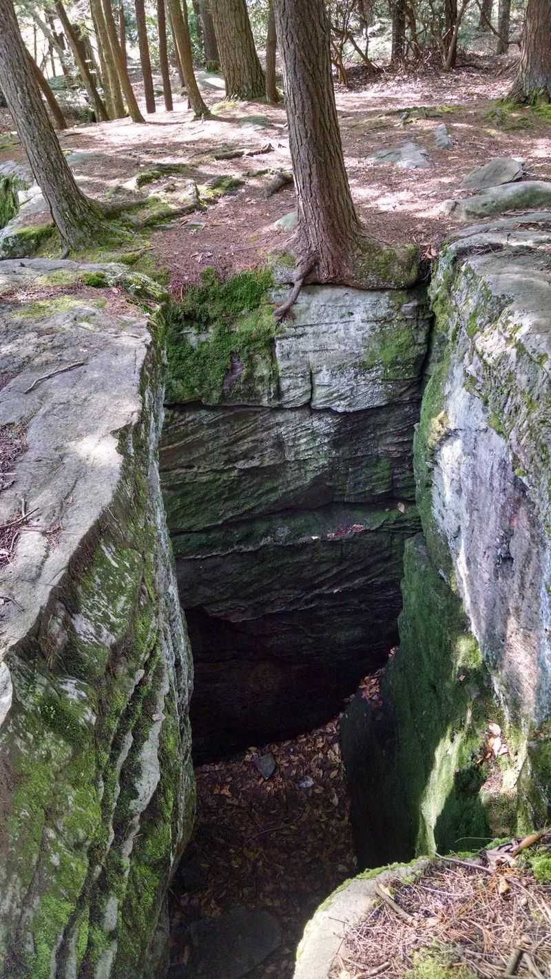 Nature's Built-In Air Conditioning Nature's Built-In Air Conditioning
