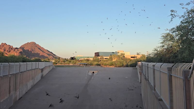 Nature's Pest Control Working Overtime