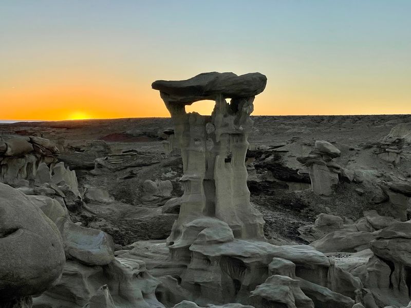 Nature's Strangest Nursery