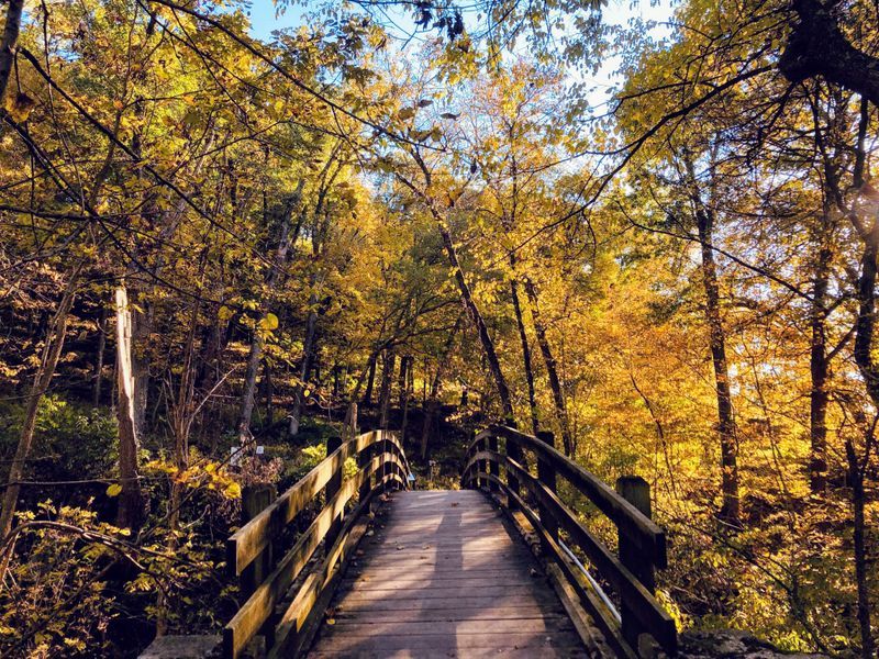Savanna And The Mississippi Palisades Lookouts