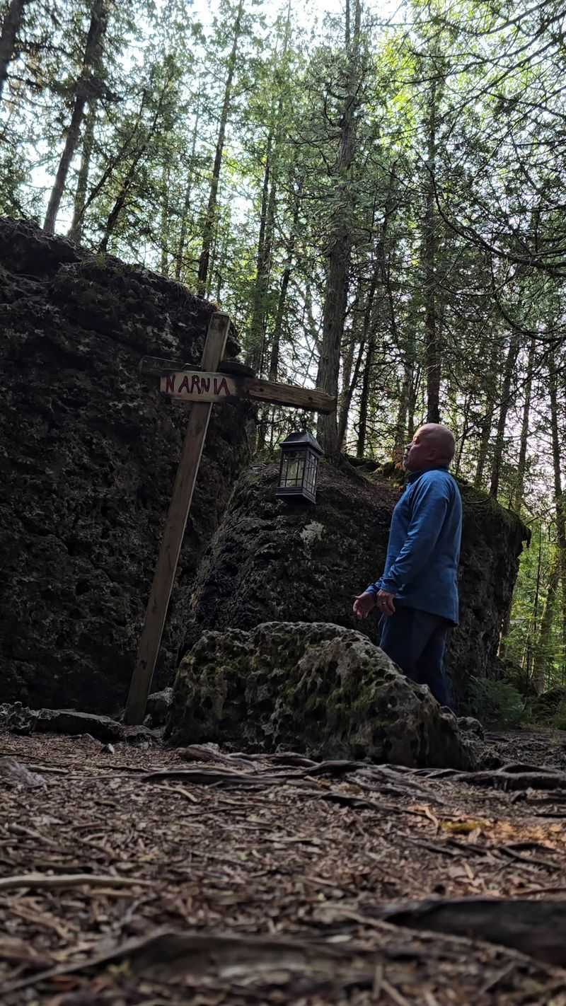 Seek The Narnia Sign And Lamp