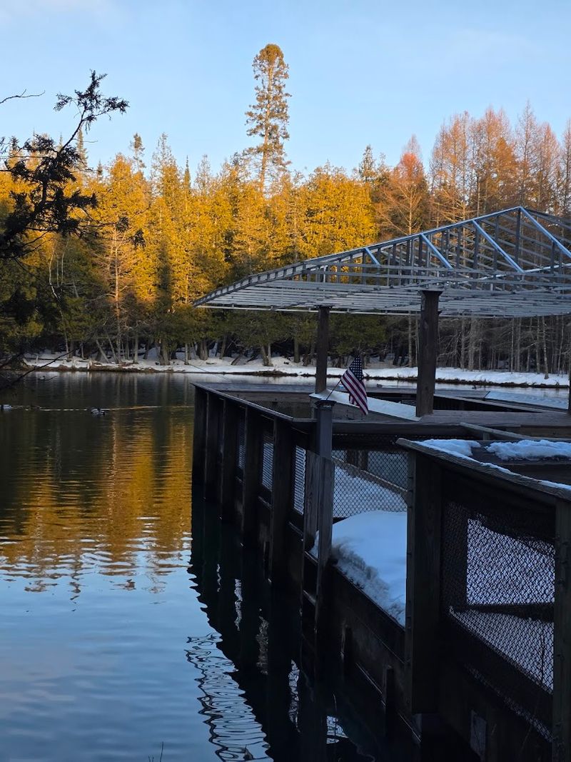 Listen For The Quiet Mechanics