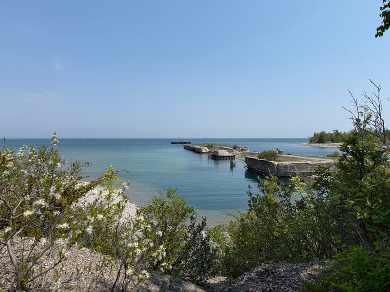 Savor The Old Dock Views