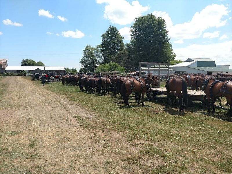 Soundscape Without Amplifiers