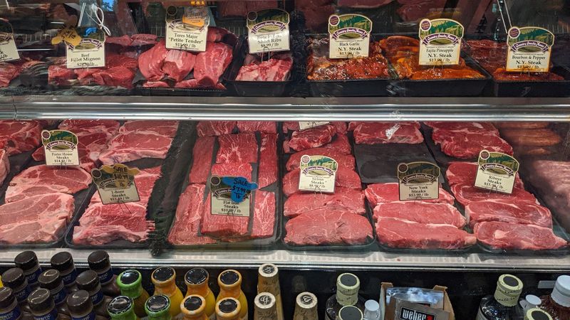 Explore The Wild Game Case