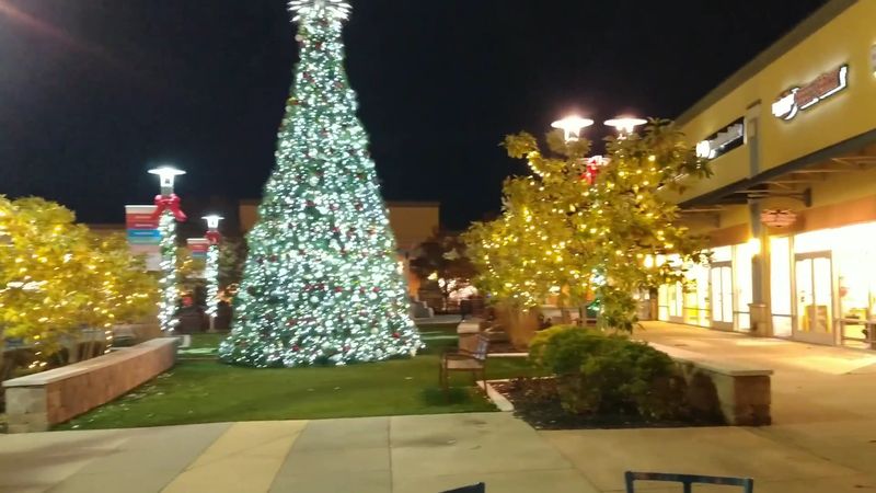 Seasonal Shopping and Holiday Visits