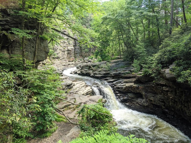 Nay Aug Falls, Scranton