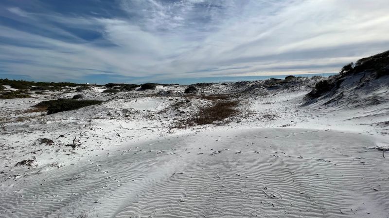 Nearby Grayton Beach State Park Adventures