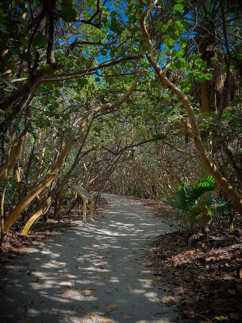 Nearby Nature Trails And The Visitor Center