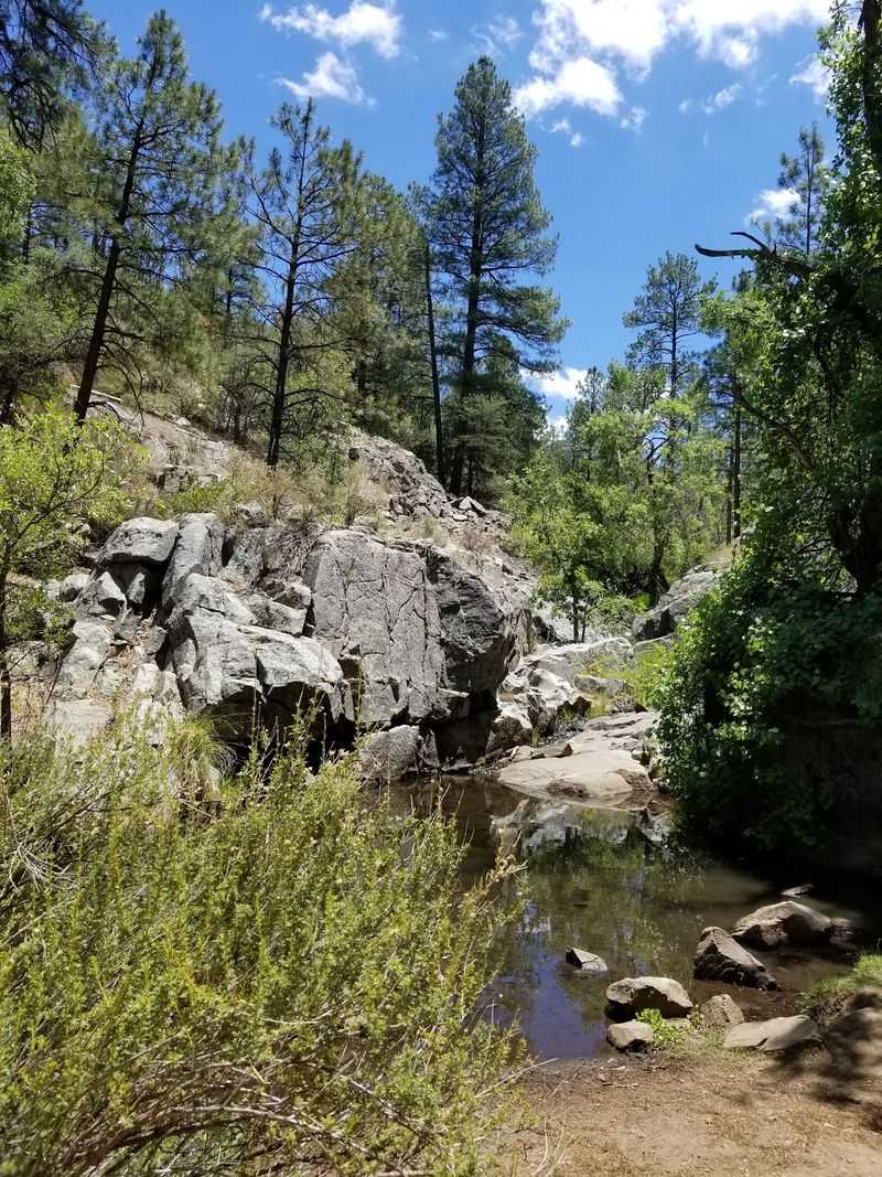 Nearby Trails and Waterfalls Worth the Short Drive