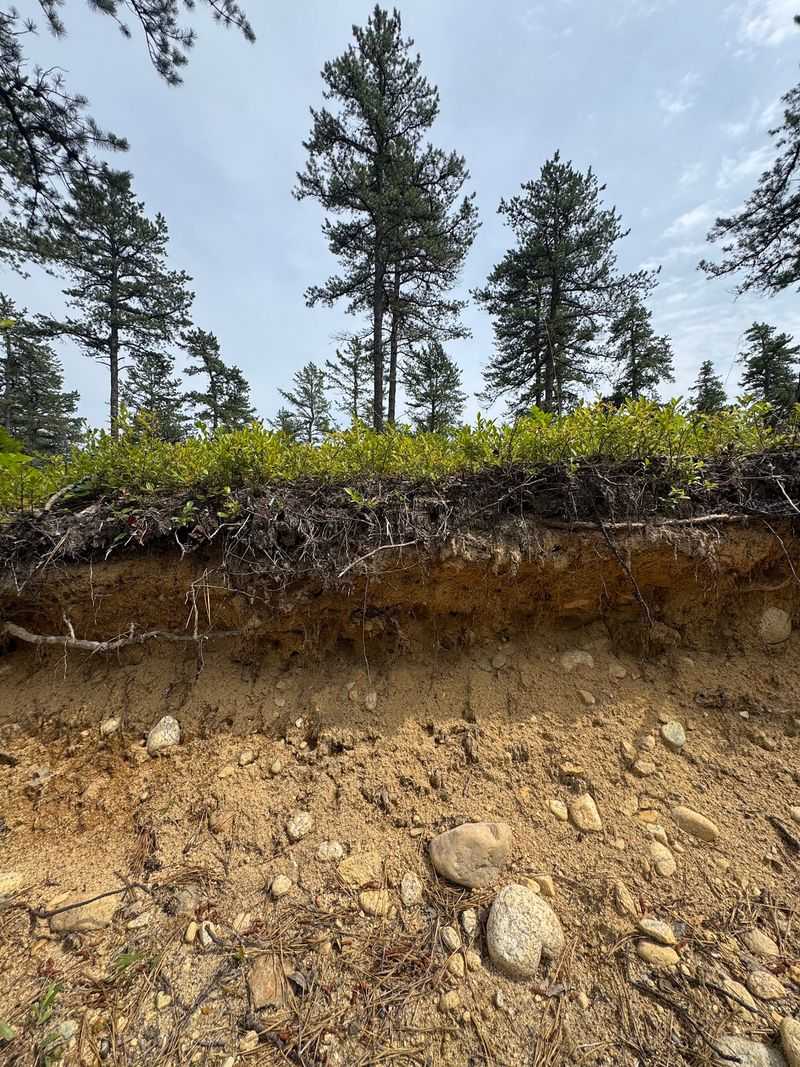 Nearly 2,500 Acres Means You Won't Run Out Of Room