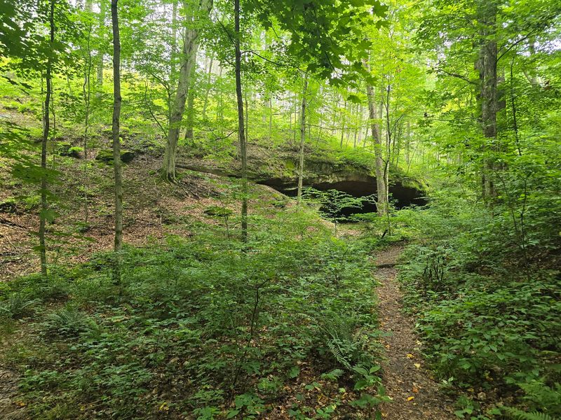 Nearly 3,000 Acres Of Forested Wilderness Nearly 3,000 Acres Of Forested Wilderness