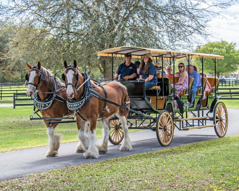 Nearly 400 Acres Of Rolling Horse Country Nearly 400 Acres Of Rolling Horse Country