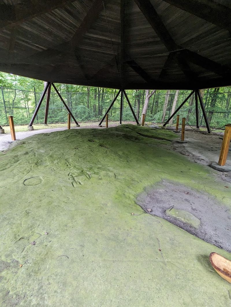 Sanilac Petroglyphs Historic State Park (Cass City area)