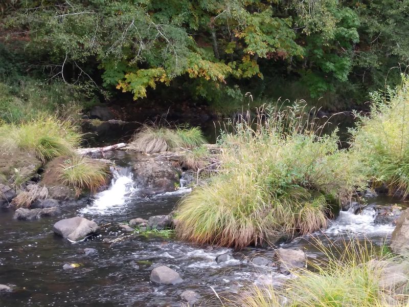 Nehalem River Nehalem River