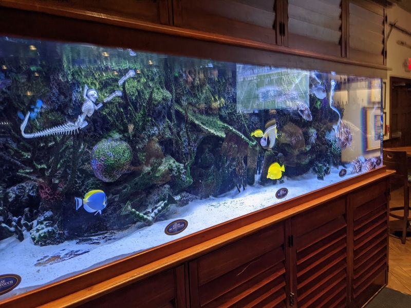 Final Verdict And Why It Shines