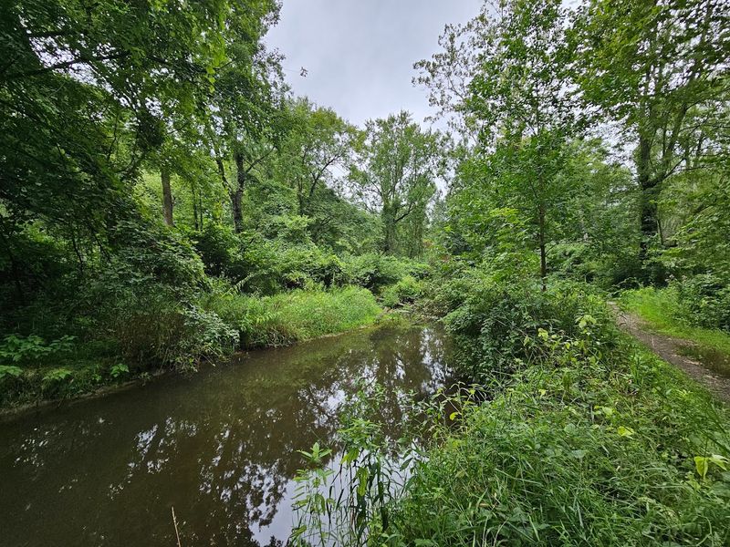 Pigeon Creek Park And The Surrounding Natural Landscape