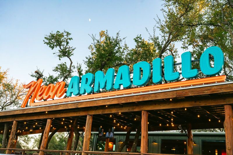 Neon Armadillo Neon Armadillo