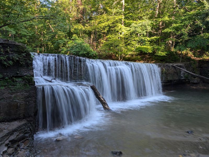 Nerstrand Big Woods State Park