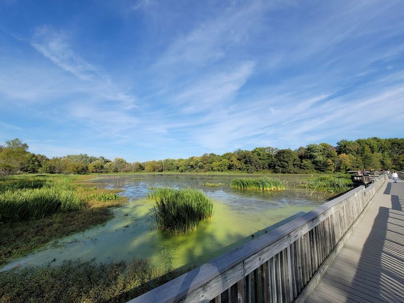 The Tinicum Marsh: A 200-Acre Freshwater Tidal Wetland