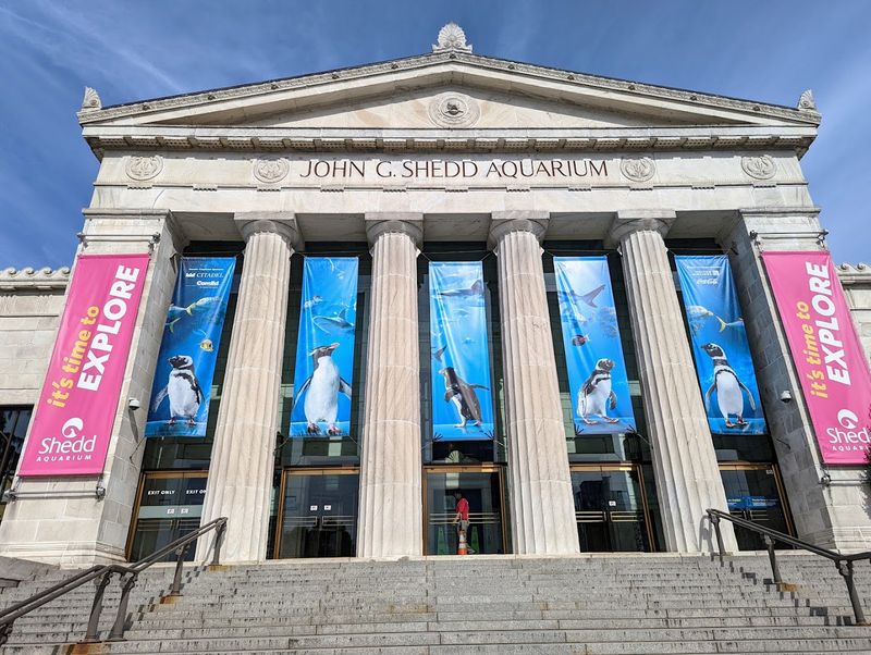 Never Arrive At Shedd Aquarium Without Checking Tickets
