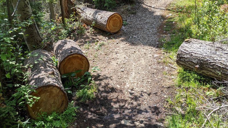 Never Assume A Trailhead Will Have Water, Food, Or Reliable Facilities