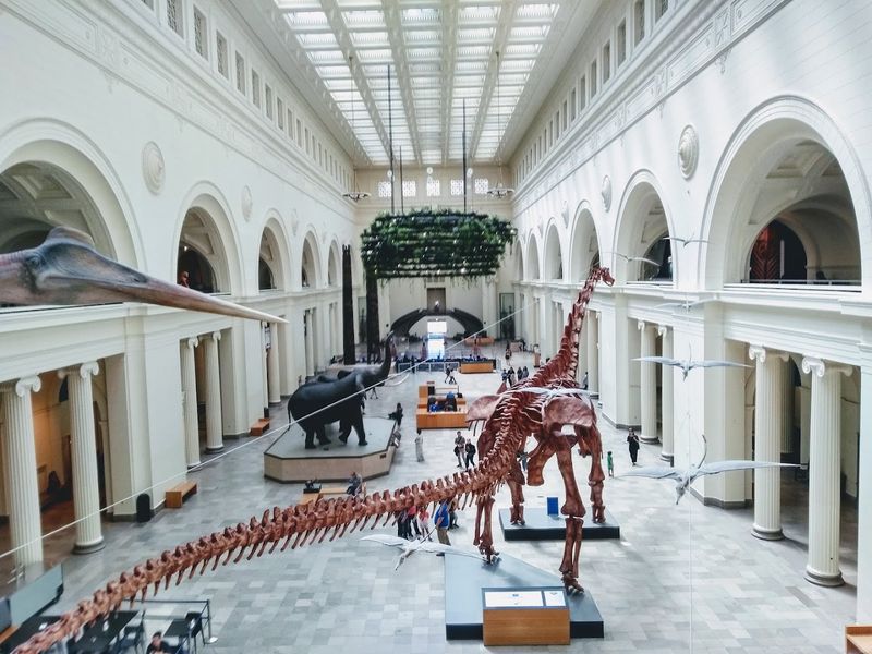 Never Rush Through The Entire Museum Campus In One Afternoon