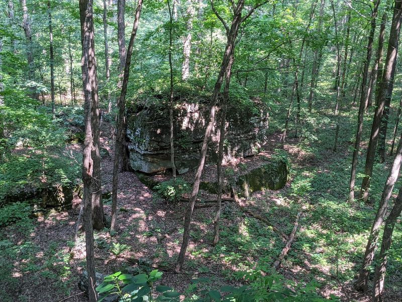 Millstone Bluff Archaeological Area, Simpson