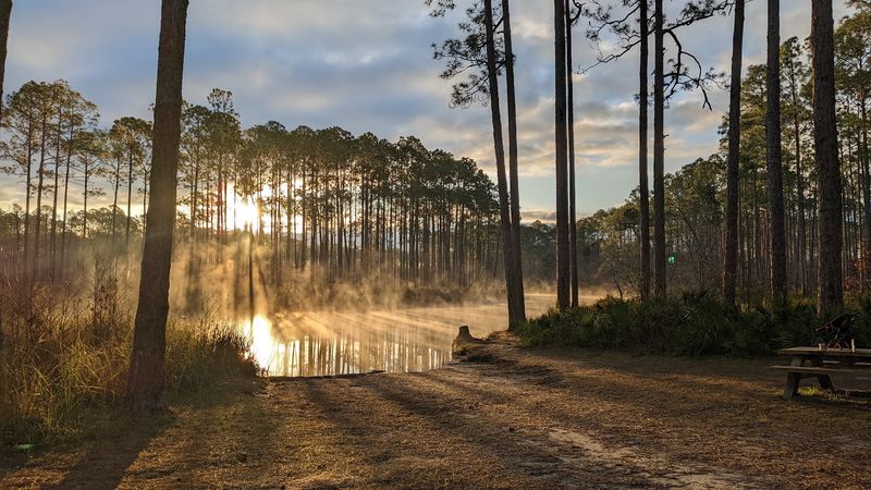 New River Primitive Campsite 8, Carrabelle