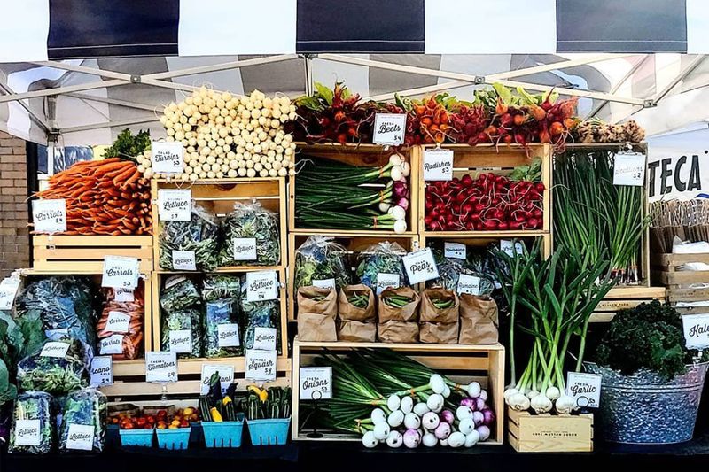 Klamath Falls Farmers Market: High Altitude Harvest