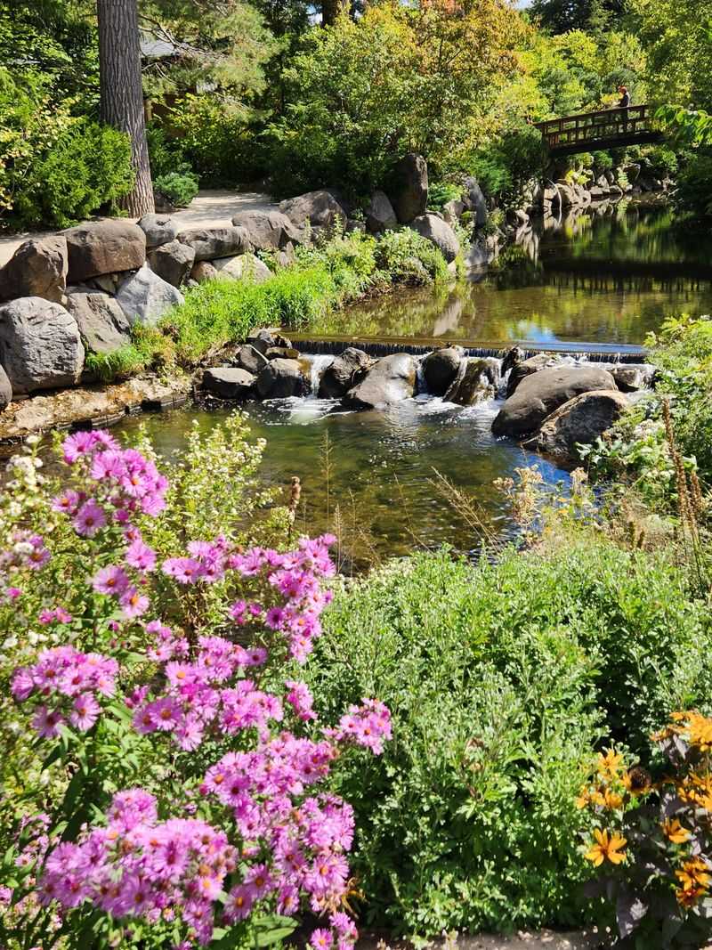 Anderson Japanese Gardens, Rockford