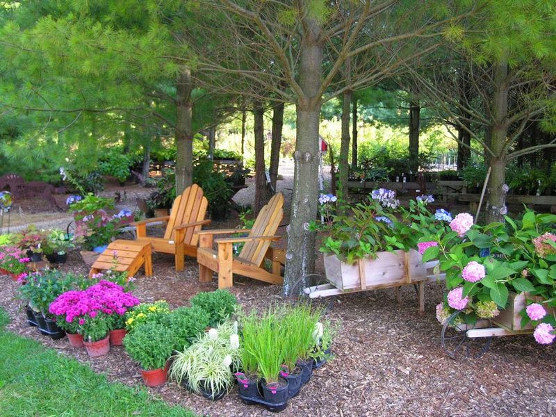 Hidden Timber Gardens Bloomfest, Chana