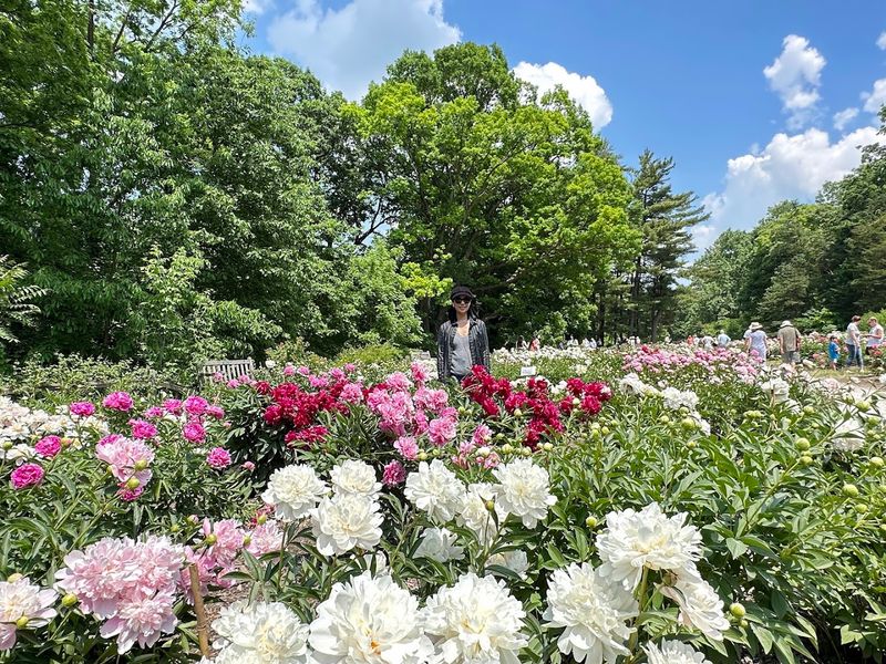 Nichols Arboretum And Matthaei Botanical Gardens, Ann Arbor