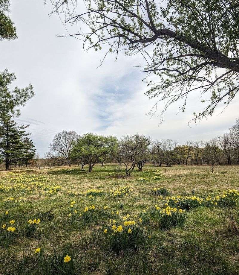 Matthaei Botanical Gardens Trails, Ann Arbor