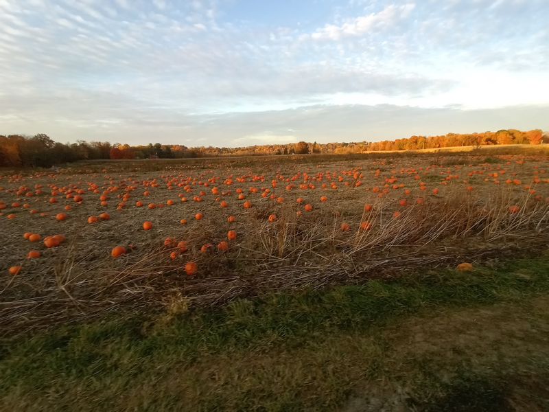 Nickajack Farms, North Lawrence