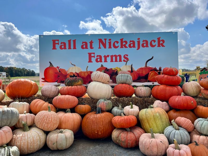 Nickajack Farms, North Lawrence