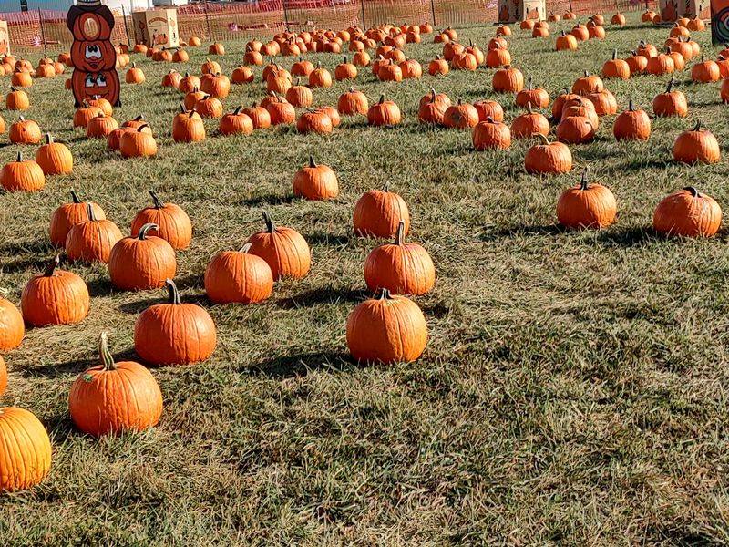 Niederman Family Farm, Liberty Township