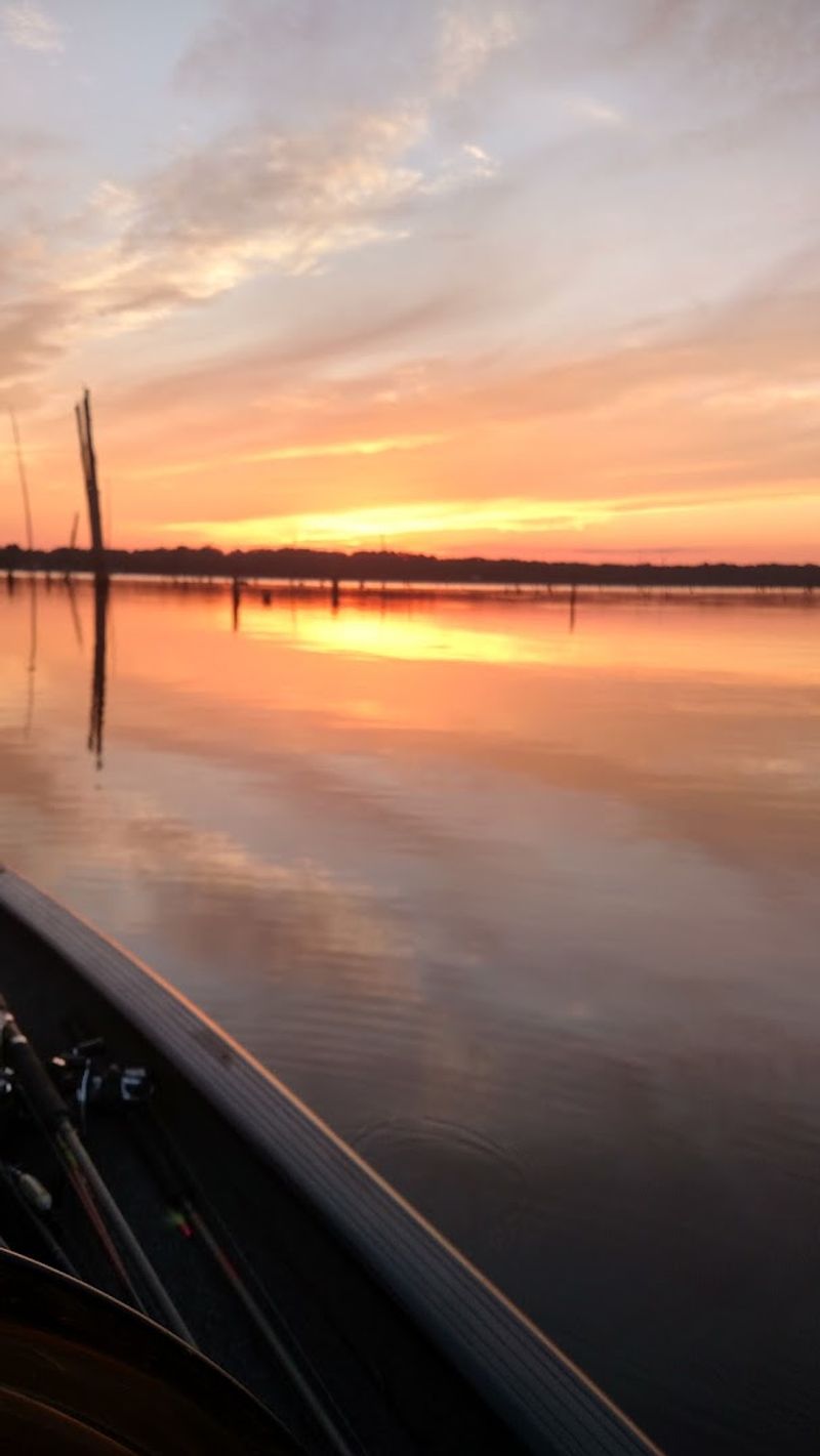 Seasonal Patterns That Trigger Bigger Bites