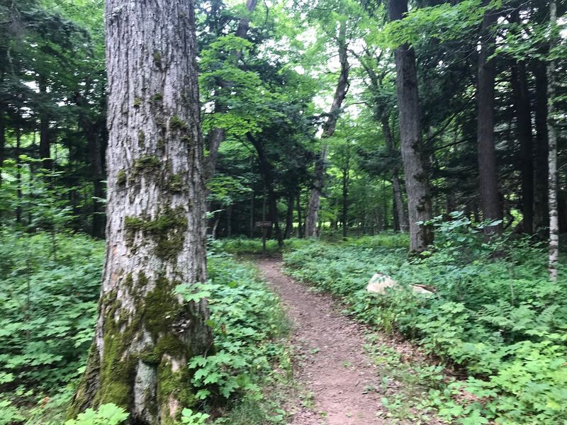 Mining History Underfoot