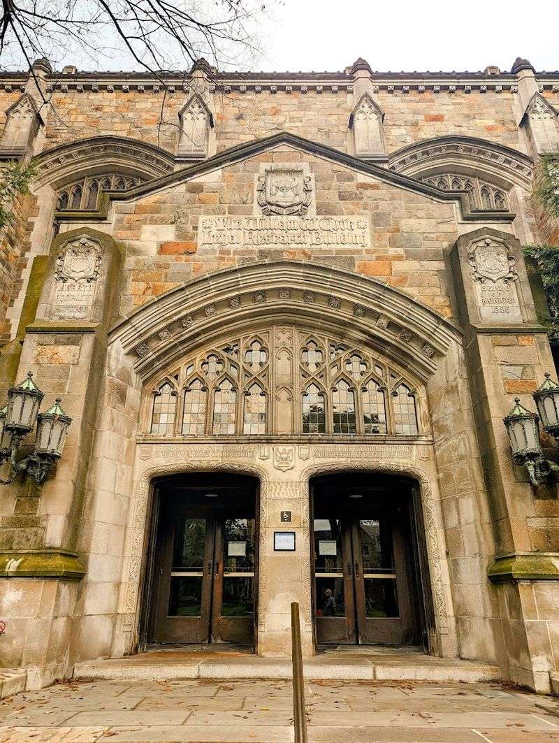 Carvings And Creatures