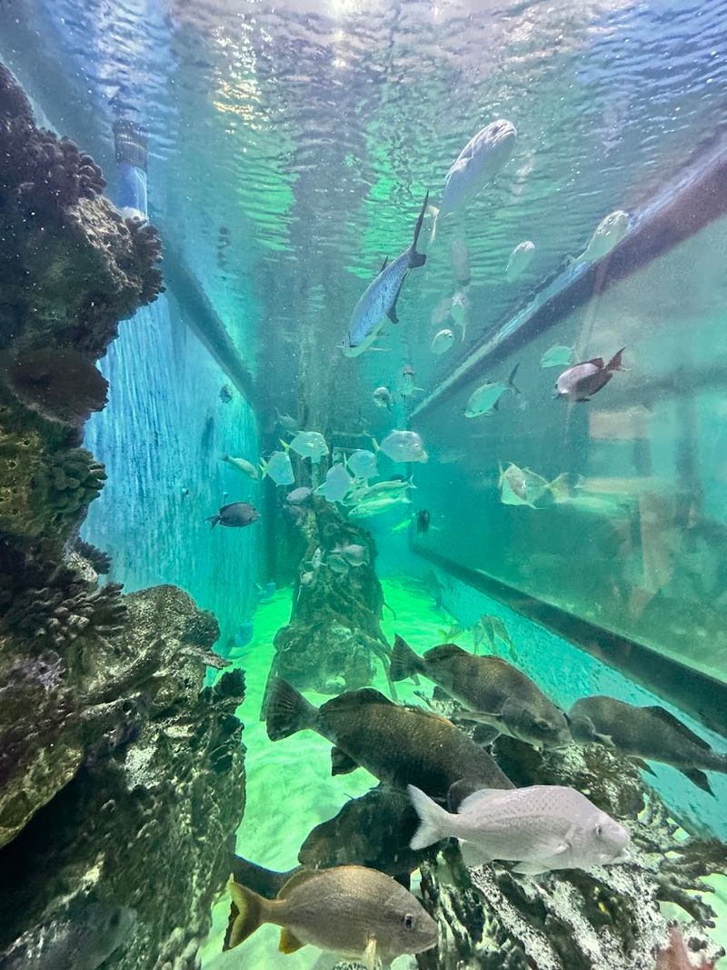 Service That Goes The Extra Mile