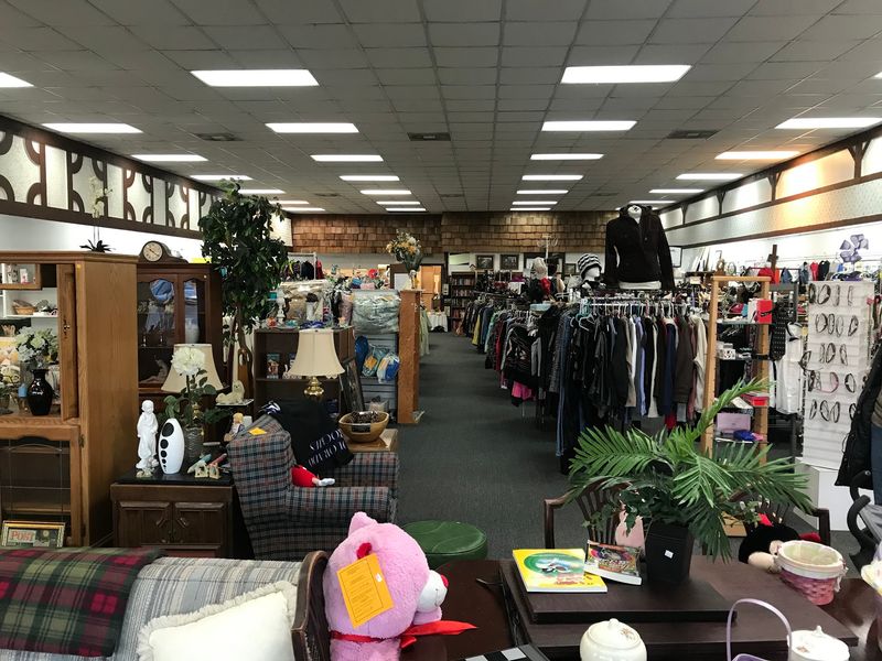 Nine Lives Resale Shop, Toledo