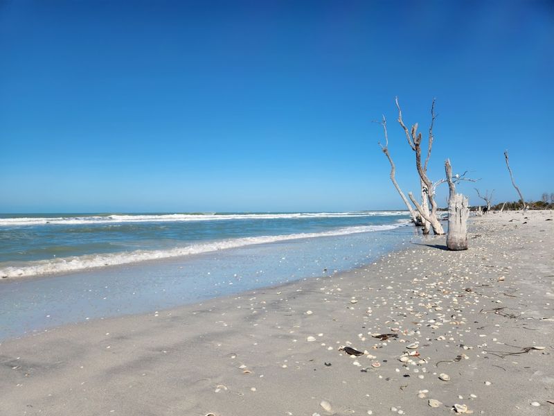 Nine Miles Of Pristine, Uncrowded Beach