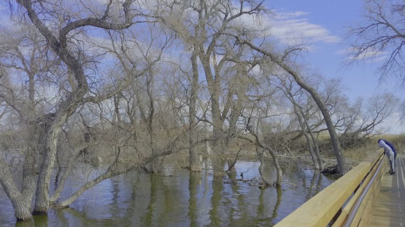 The Nature Center Worth Stopping In