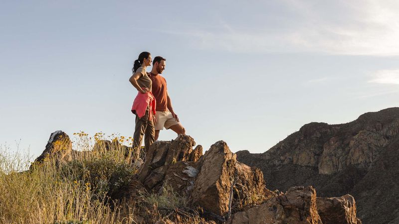 Nine Trails Through The Sonoran Desert