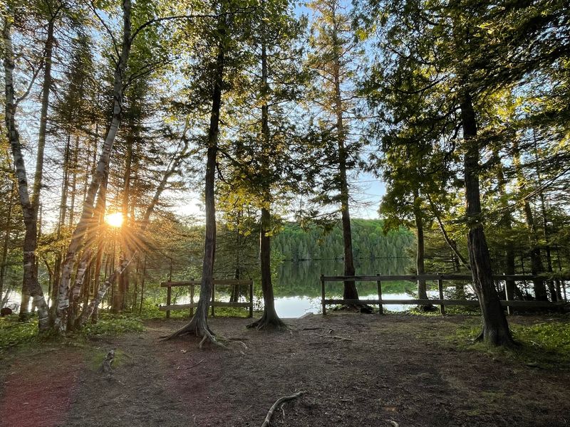 Ninemile Lake Campground Ninemile Lake Campground