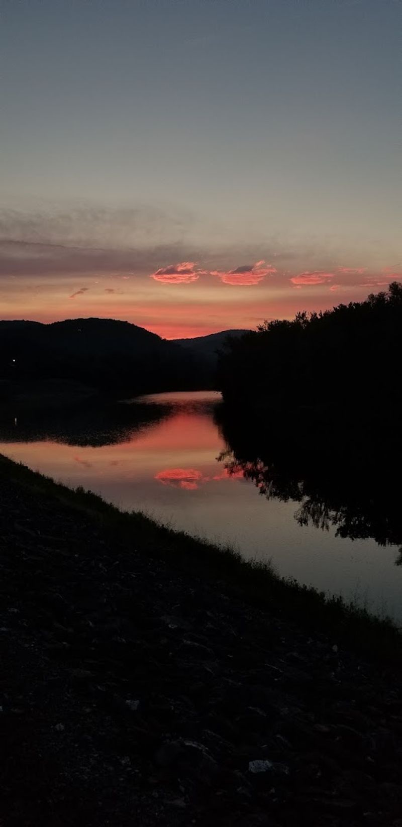 Pets Can Add To The Experience If You Plan Ahead