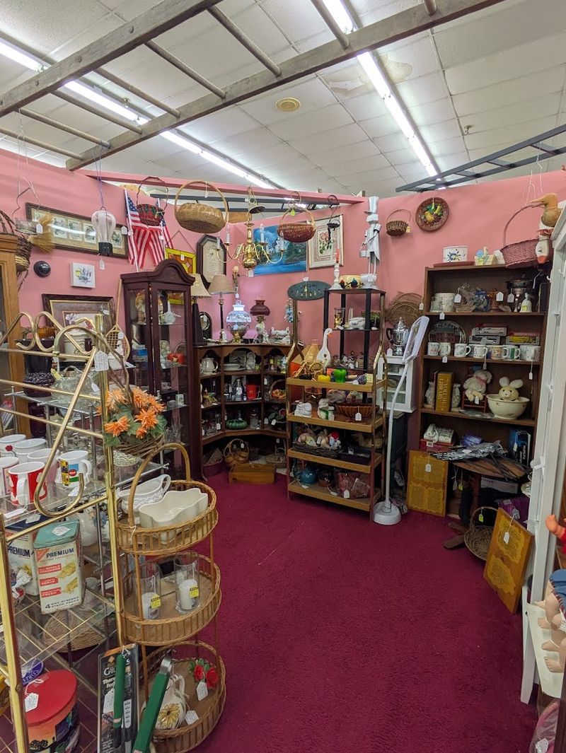 New Inventory Every Day Means Every Visit Is Different