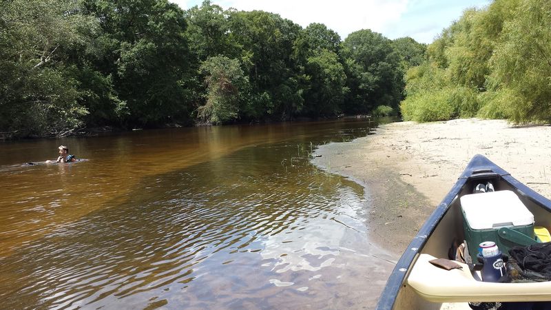 No Dams, No Problem: A River That Runs Wild