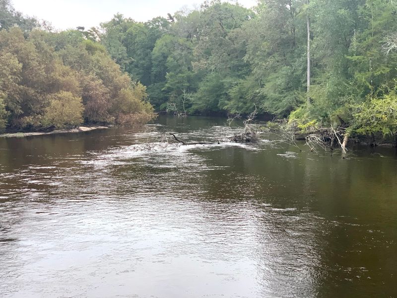 No Dams, No Problem